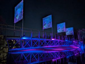 Bridge at night - Projection Mapping