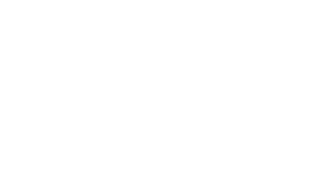 VideoMentorLogo